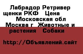 Лабрадор Ретривер щенки РКФ › Цена ­ 50 000 - Московская обл., Москва г. Животные и растения » Собаки   